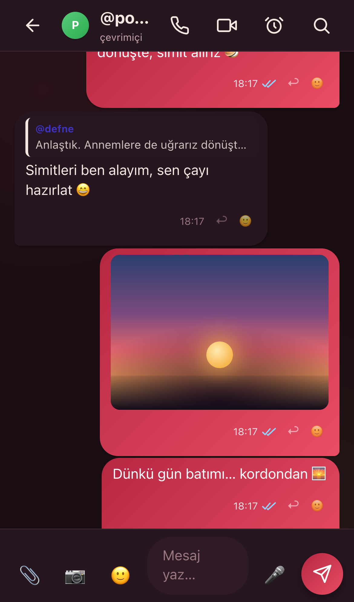 NarChat koyu tema sohbet ekranı