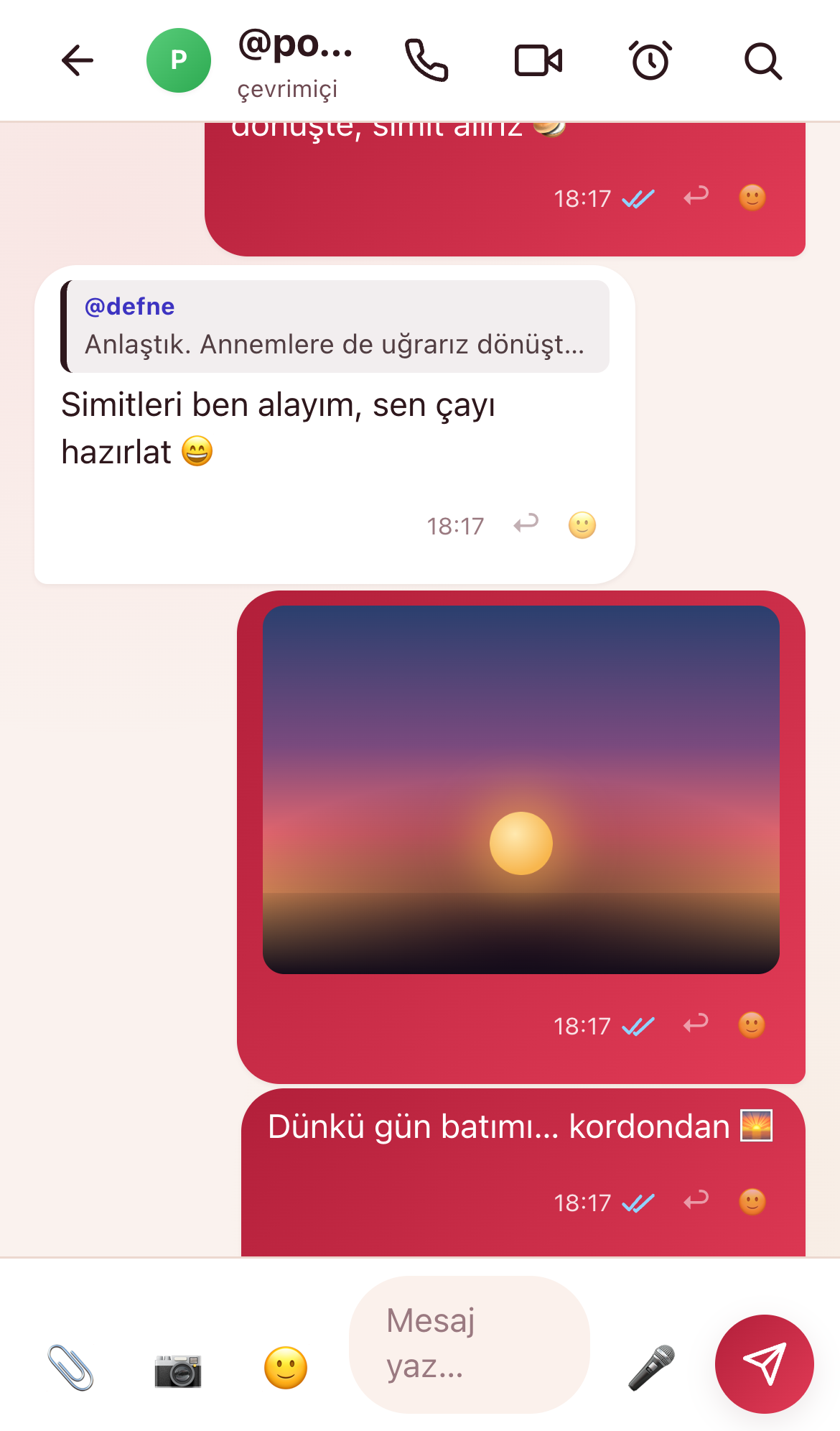 NarChat sohbet ekranı — uçtan uca şifreli yazışma, fotoğraf paylaşımı, yanıt ve okundu bilgisi